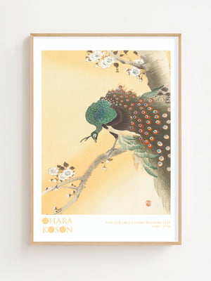 Peacock On A Cherry Blossom Tree Plakat - 21 x 29.7 cm (A4) - Nellastore