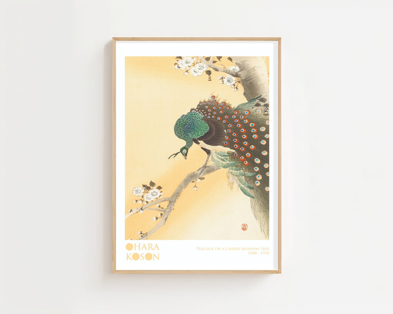 Peacock On A Cherry Blossom Tree Plakat - 21 x 29.7 cm (A4) - Nellastore