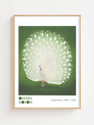 Peacock Plakat - 21 x 29.7 cm (A4) - Nellastore