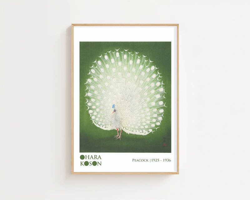 Peacock Plakat - 21 x 29.7 cm (A4) - Nellastore