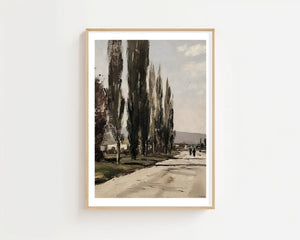 Poplar Tree Avenue Plakat - 21 x 29.7 cm (A4) - Nellastore