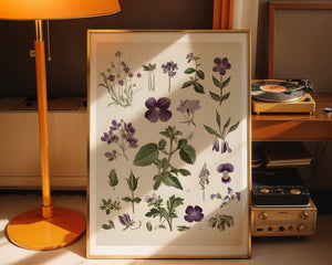 Purple Botanical Study Plakat - 21 x 29.7 cm (A4) - Nellastore