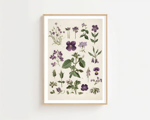 Purple Botanical Study Plakat - 21 x 29.7 cm (A4) - Nellastore