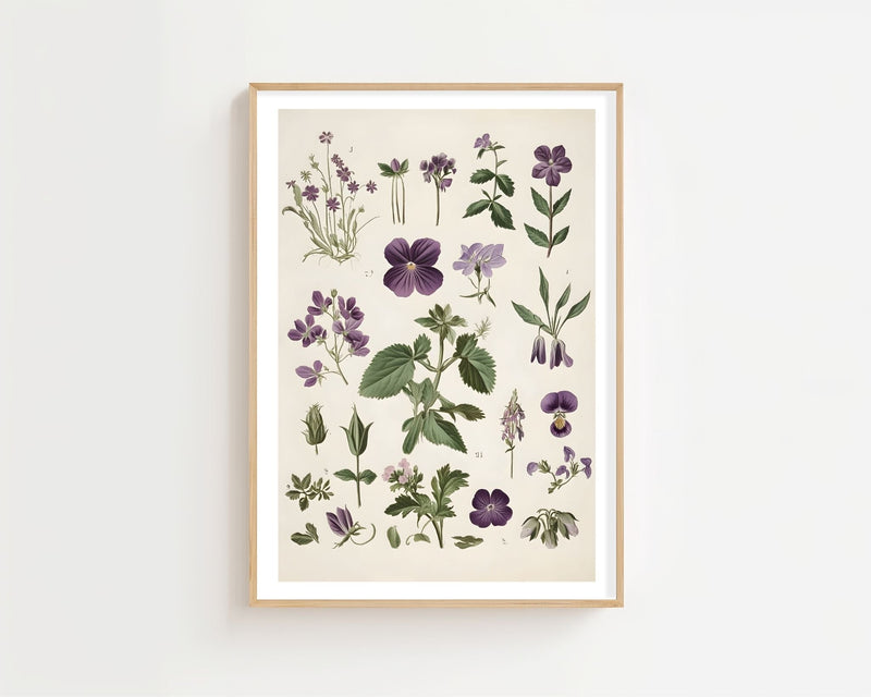 Purple Botanical Study Plakat - 21 x 29.7 cm (A4) - Nellastore