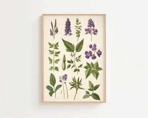 Purple Wildflowers Plakat - 21 x 29.7 cm (A4) - Nellastore