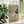 Quiet Notes Plakat - 21 x 29.7 cm - Nellastore