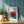 Red Bell Peppers Plakat - 21 x 29.7 cm (A4) - Nellastore