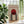 Red Sun Arch Plakat - 21 x 29.7 cm - Nellastore