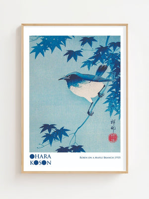 Robin On A Maple Branch Plakat - 21 x 29.7 cm (A4) - Nellastore