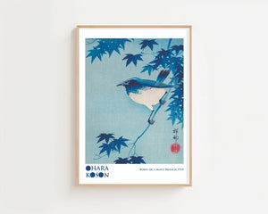 Robin On A Maple Branch Plakat - 21 x 29.7 cm (A4) - Nellastore