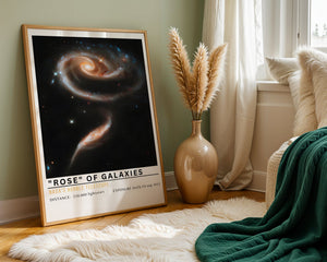 Rose of Galaxies Plakat - 21 x 29.7 cm (A4) - Nellastore