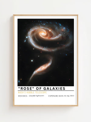 Rose of Galaxies Plakat - 21 x 29.7 cm (A4) - Nellastore