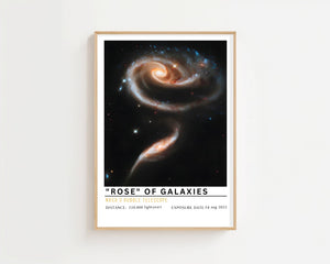 Rose of Galaxies Plakat - 21 x 29.7 cm (A4) - Nellastore