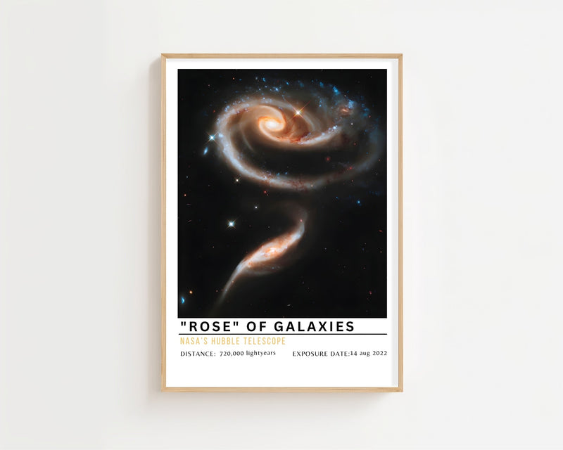 Rose of Galaxies Plakat - 21 x 29.7 cm (A4) - Nellastore