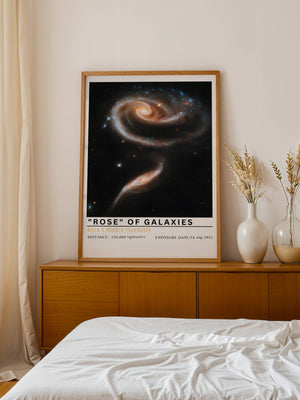Rose of Galaxies Plakat - 21 x 29.7 cm (A4) - Nellastore