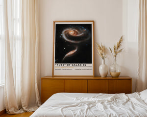 Rose of Galaxies Plakat - 21 x 29.7 cm (A4) - Nellastore