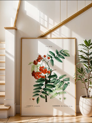 Rowan Berry Study Plakat - 21 x 29.7 cm (A4) - Nellastore