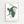 Sage Motion Figure Matisse Plakat - 21 x 29.7 cm - Nellastore