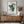 Sage Motion Figure Matisse Plakat - 21 x 29.7 cm - Nellastore