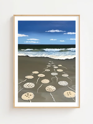 Sand Dollars On Shore Plakat - 21 x 29.7 cm (A4) - Nellastore