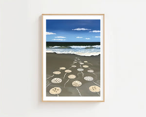 Sand Dollars On Shore Plakat - 21 x 29.7 cm (A4) - Nellastore