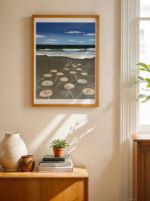 Sand Dollars On Shore Plakat - 21 x 29.7 cm (A4) - Nellastore