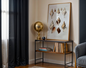 Seashell Collection Plakat - 21 x 29.7 cm (A4) - Nellastore