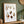 Seashell Collection Plakat - 21 x 29.7 cm (A4) - Nellastore