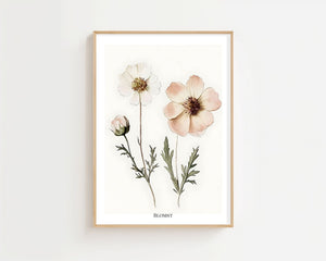 Soft Blossom Study Plakat - 21 x 29.7 cm (A4) - Nellastore
