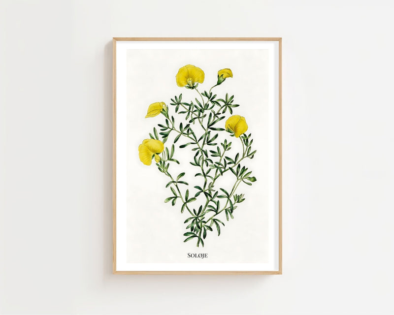 Soløje Plakat - 21 x 29.7 cm (A4) - Nellastore