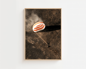 Soyuz Landing Plakat - 21 x 29.7 cm (A4) - Nellastore