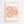 Sprinkle Donut Party Plakat - 21 x 29.7 cm - Nellastore