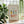 Summer Icons Plakat - 21 x 29.7 cm - Nellastore
