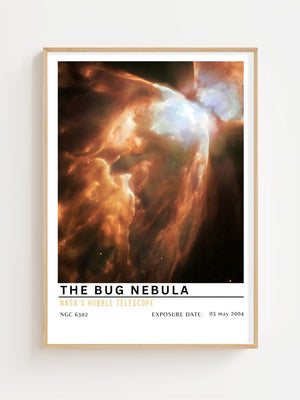 The Bug Nebula Plakat - 21 x 29.7 cm (A4) - Nellastore