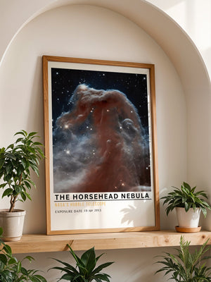 The Horsehead Nebula Plakat - 21 x 29.7 cm (A4) - Nellastore