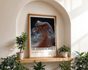 The Horsehead Nebula Plakat - 21 x 29.7 cm (A4) - Nellastore