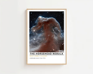 The Horsehead Nebula Plakat - 21 x 29.7 cm (A4) - Nellastore