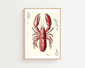 The Lobster Plakat - 21 x 29.7 cm (A4) - Nellastore