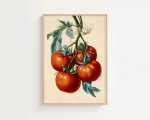 Tomato Vine Plakat - 21 x 29.7 cm (A4) - Nellastore