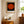 Transit of Venus Plakat - 21 x 29.7 cm (A4) - Nellastore