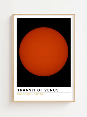 Transit of Venus Plakat - 21 x 29.7 cm (A4) - Nellastore