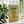 Triangle Balance Bauhaus Plakat - 21 x 29.7 cm - Nellastore