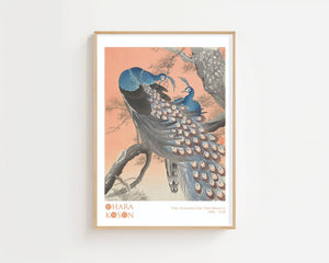 Two Peacocks Plakat - 21 x 29.7 cm (A4) - Nellastore