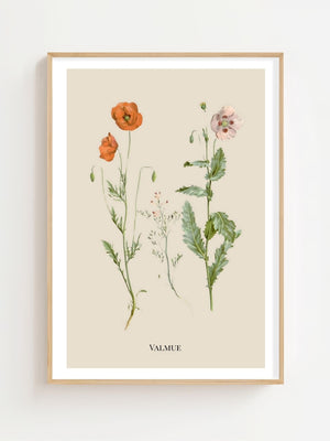 Valmue Plakat - 21 x 29.7 cm (A4) - Nellastore