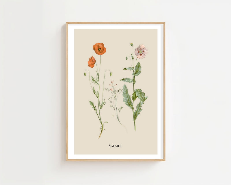 Valmue Plakat - 21 x 29.7 cm (A4) - Nellastore