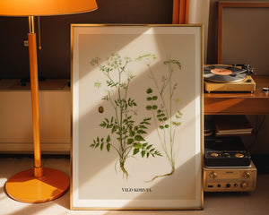 Vild Kørvel Plakat - 21 x 29.7 cm (A4) - Nellastore