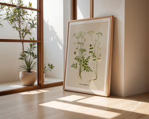 Vild Kørvel Plakat - 21 x 29.7 cm (A4) - Nellastore