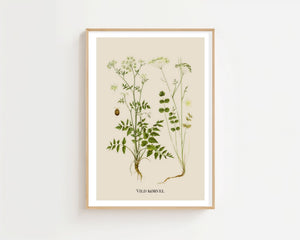 Vild Kørvel Plakat - 21 x 29.7 cm (A4) - Nellastore
