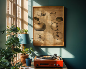 Vintage Apple Study Plakat - 21 x 29.7 cm (A4) - Nellastore