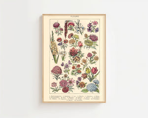 Vintage Flower Chart Plakat - 21 x 29.7 cm (A4) - Nellastore
